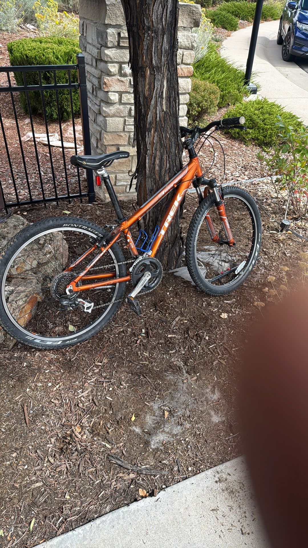 Trek Mountain Bike
