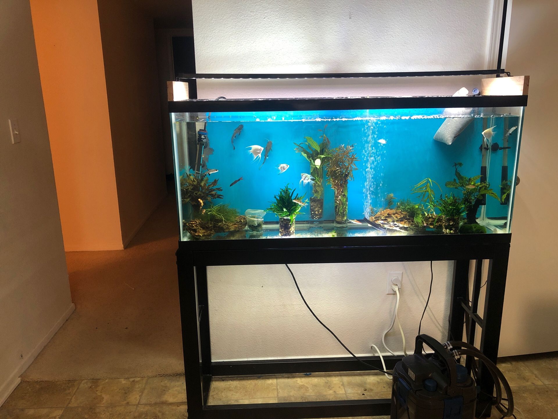 Aquarium complete (55 gallons)included everything high quality brand