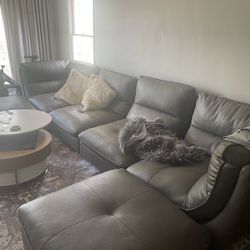 Sectional Couch