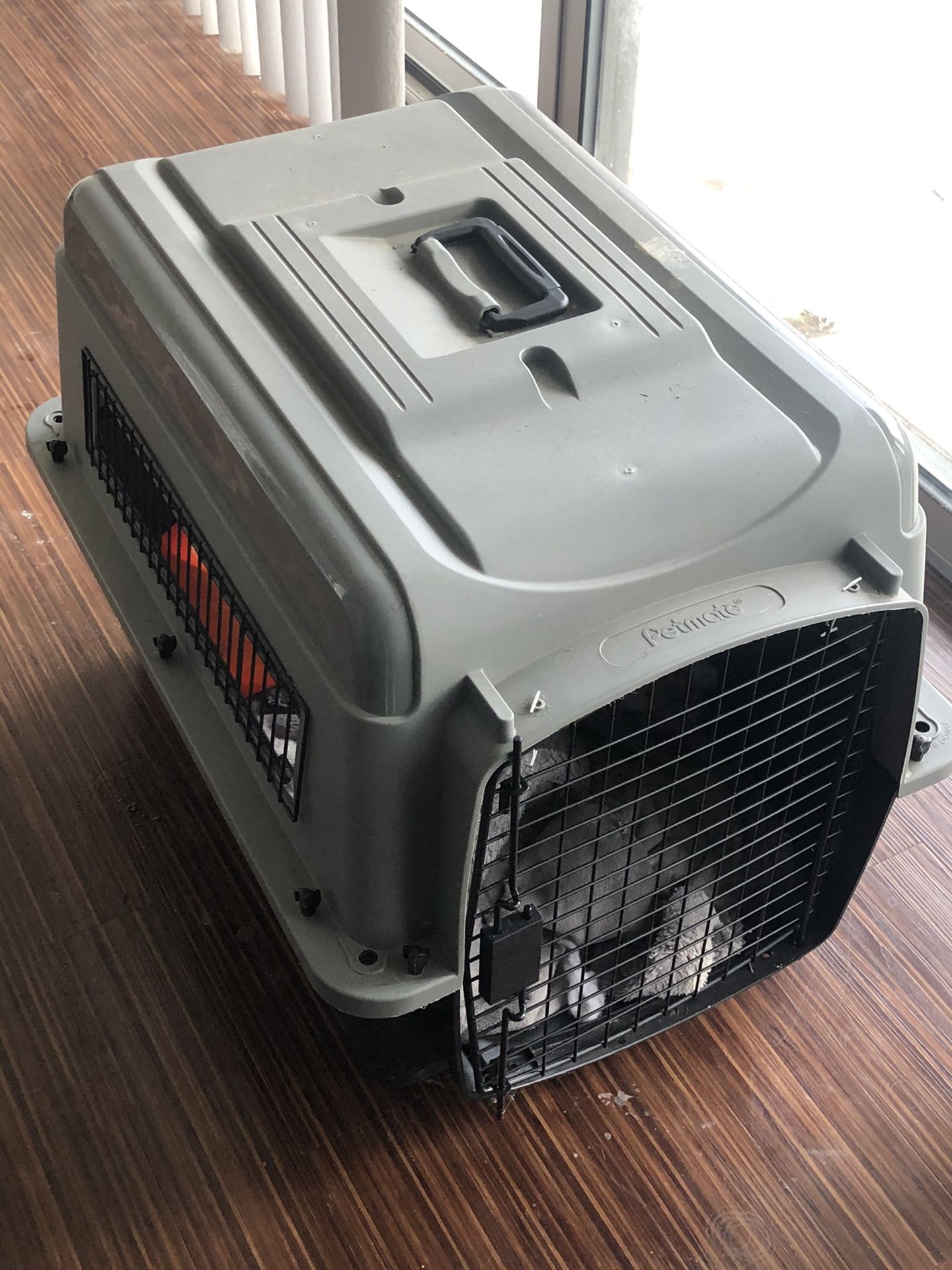 Dog traveling crate