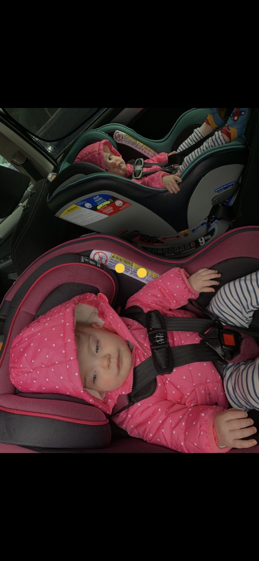 Chicco Next Fit Convertible Car Seat 5lbs-65lbs
