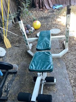 Golds gym olympic weight bench