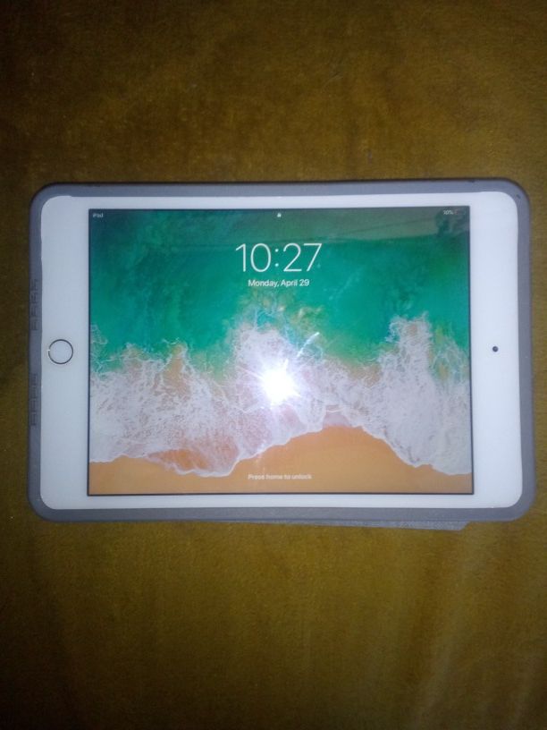 iPad