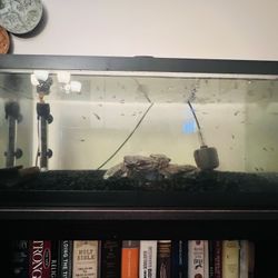 20 Gallon Long Tank Aquarium
