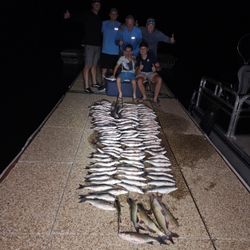 Guided Fishing Trips On A Pontoon Boat @ Lake Pleasant 