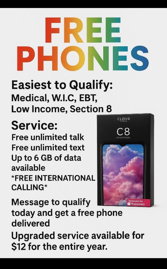 Government Phones