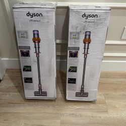 Dyson V15 Detect