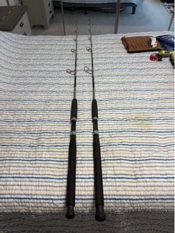 Custom Bushido Spinning Rods