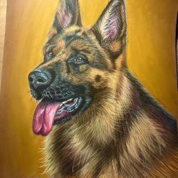 German Shepherd Drawn With Pastels 
