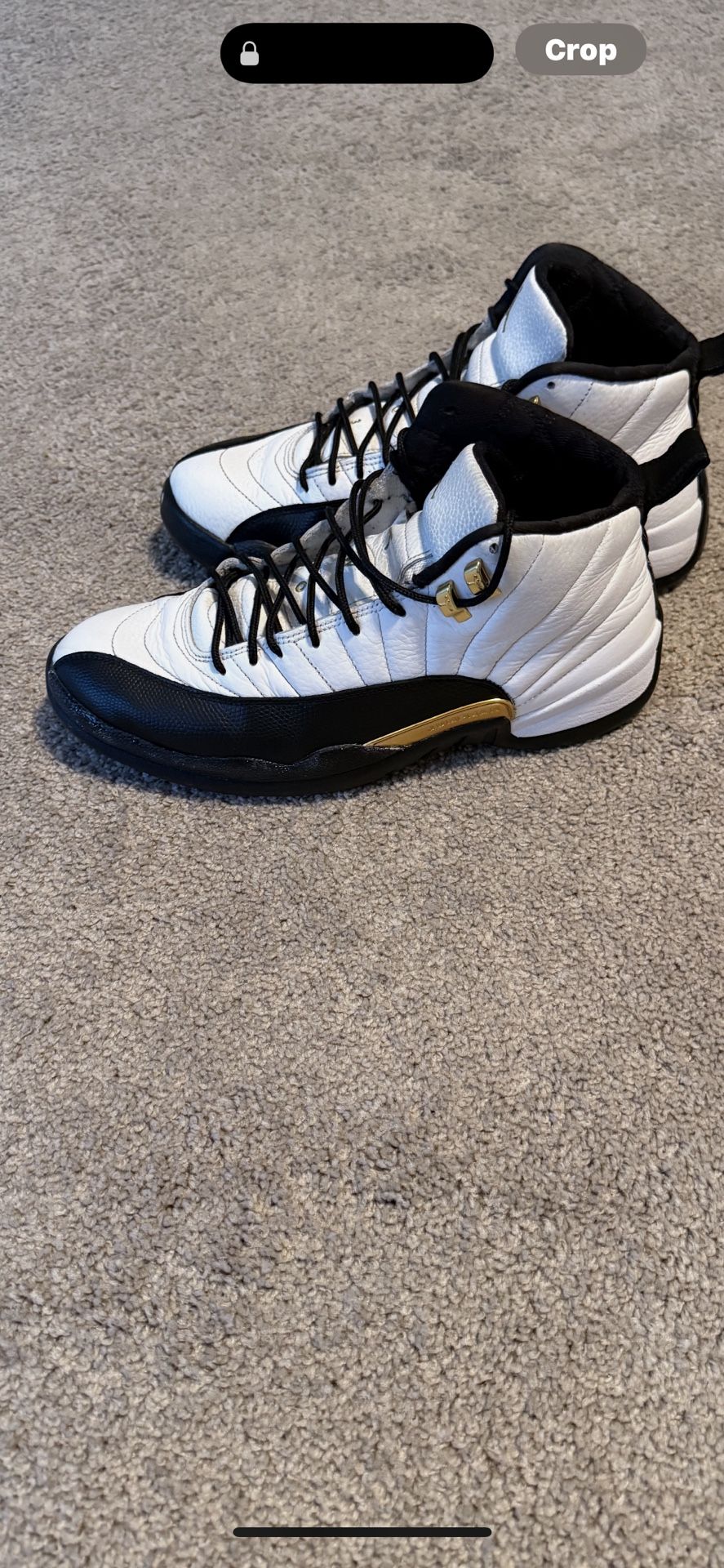 Air Jordan Retro 12