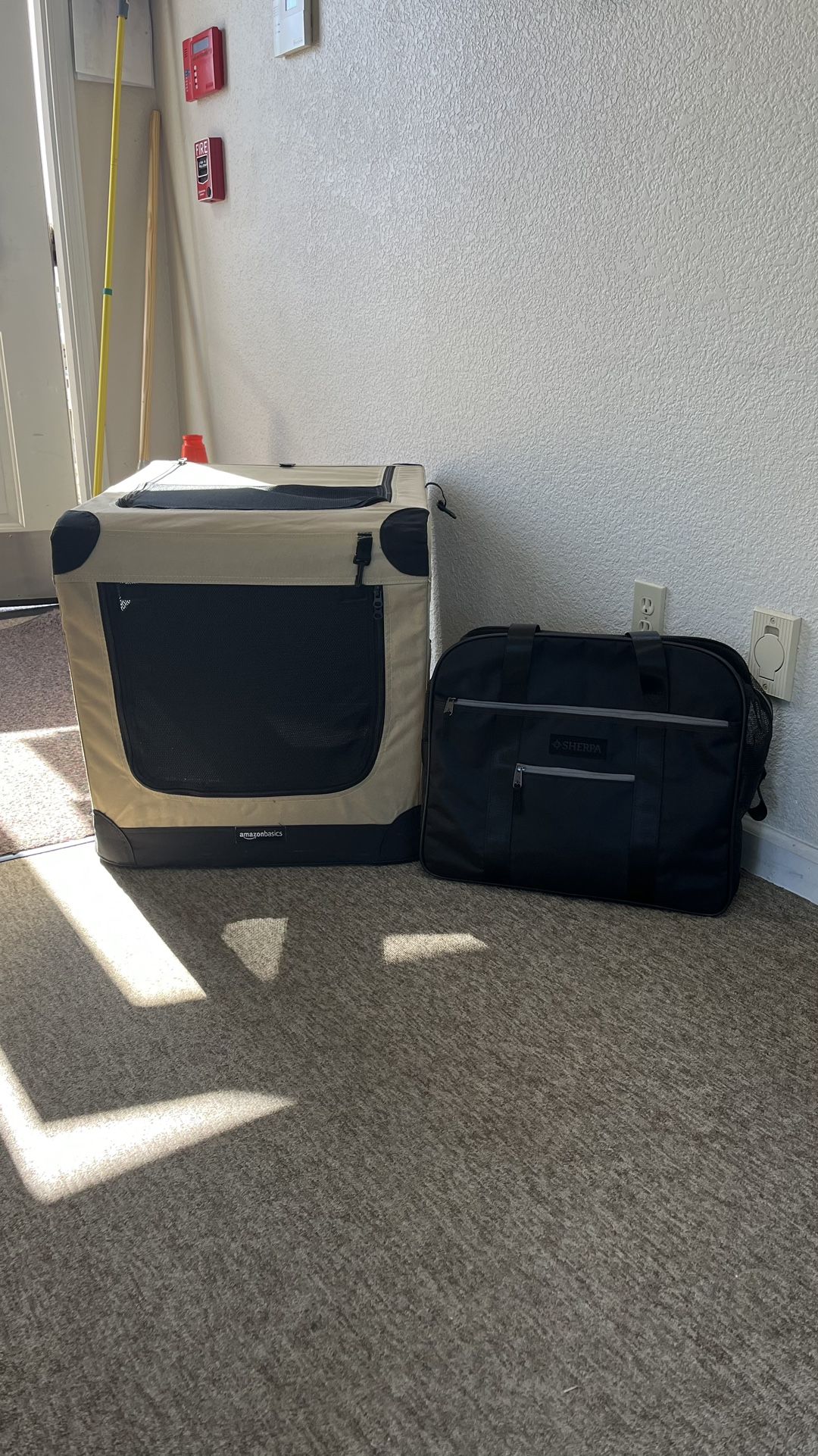 Collapsible Soft Crate For Medium/Large Dog With Bonus Bag Carrier
