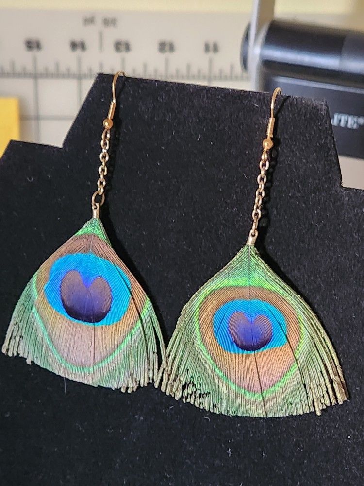 Real Peacock Feather Earrings