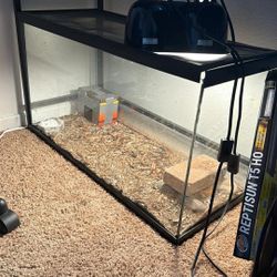 Leopard Gecko Tank