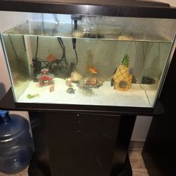 20g Fishing Tank And Stand