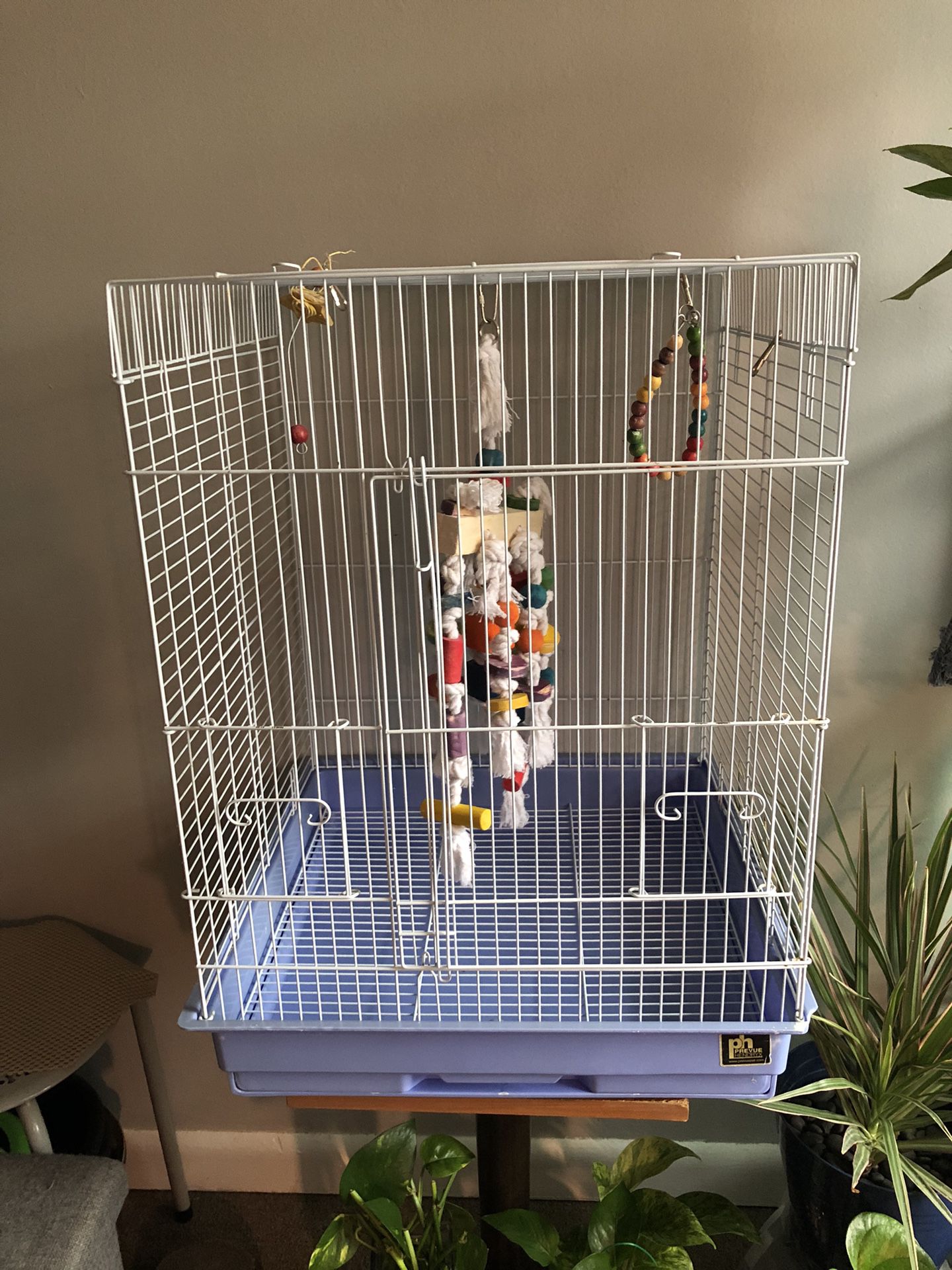 Bird Cage Available  Súper New