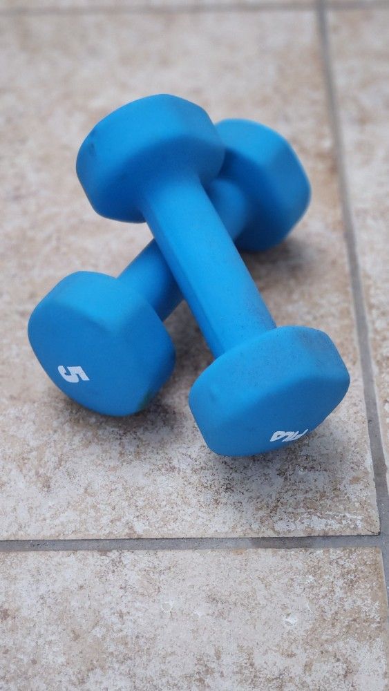 5 Lb Dumbells