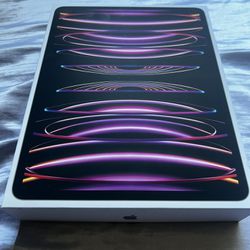 iPad Pro 12.9 6th Gen