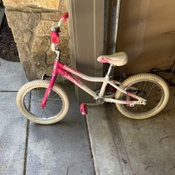 Kids Giant Little Kids Bike