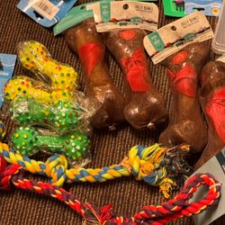 Dog and cat supplies