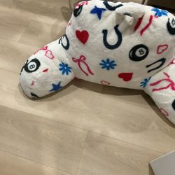 A Beautiful Reading Pillow, Great Item