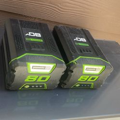 80v Lithium Batteries 