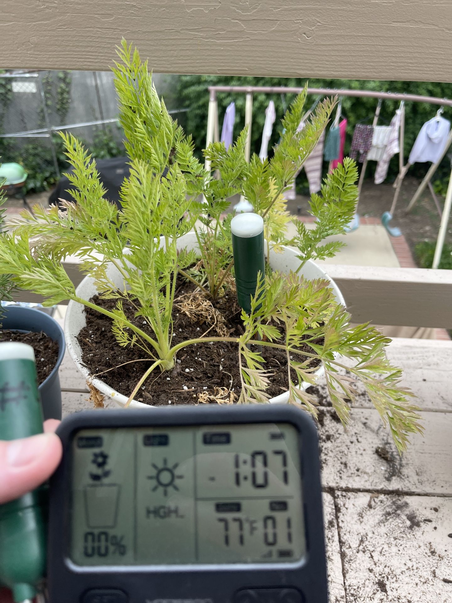 x4 soil moisture meters