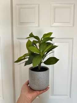 Artificial Plant