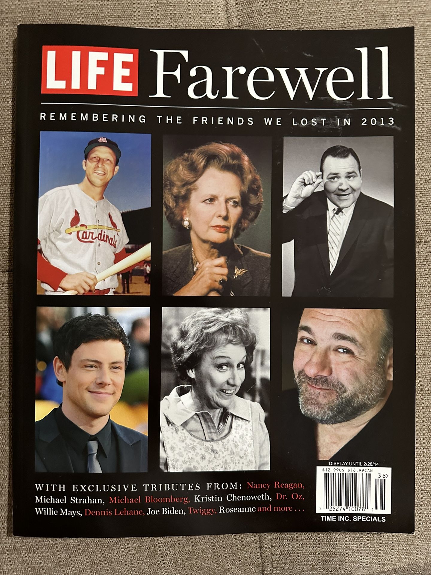 LIFE Farewell 2013