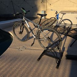 Raleigh Mountain Bike (LG)