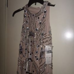 Sequined Dress New Size 2