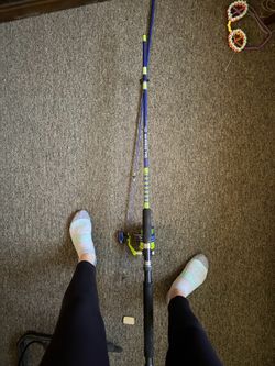 Fishing pole