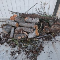 Free Wood
