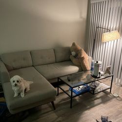 Living Room Furniture Set – $180 (Sofa, Tables, Shelf, Lamp)