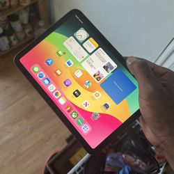 iPad Mini 6 Factory Unlocked 256gb Cell+wifi