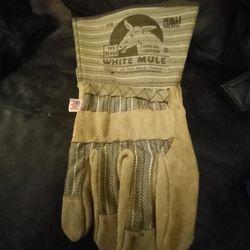 Leather Gloves