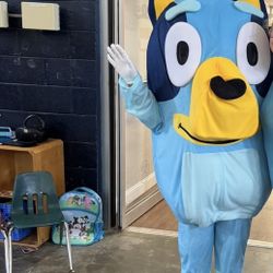 Bluey Mascot Custome