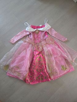 Princess Sleeping Beauty Aurora  Costume Dress