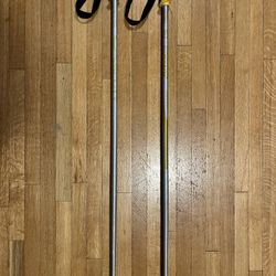 Ski Poles