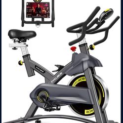 Cyclace Exercise Bike 
