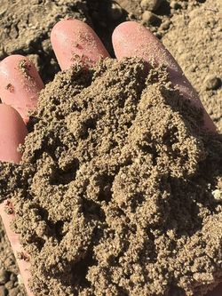 Free Clean Dirt And Delivery !