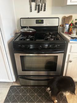 Gas Stove