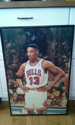 Professional Photograph & Frame 20” x 30” Black Matte Finish Aluminum Metal Frame. 1993 Photograph included.