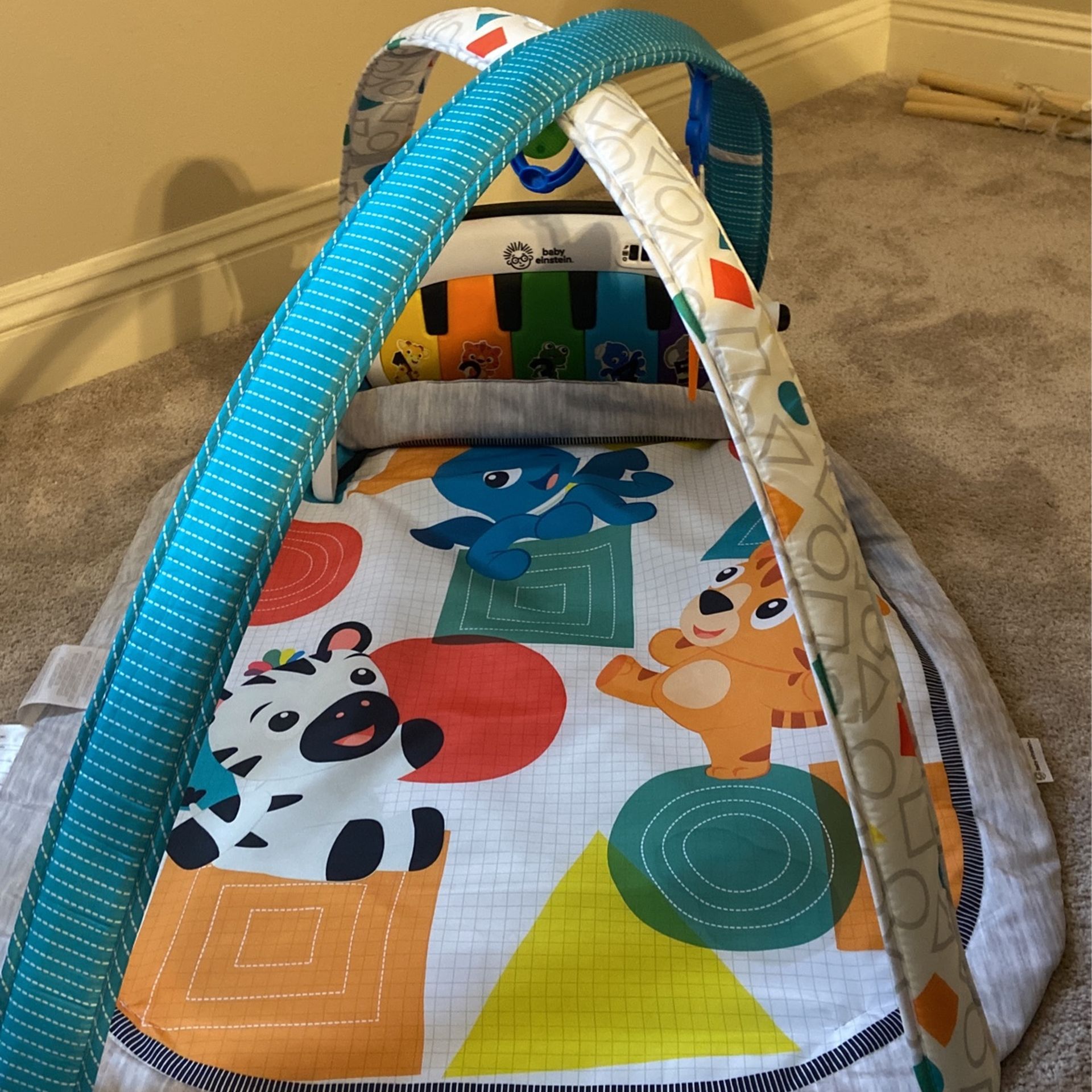 Baby Einstein Playmat