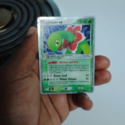 Pokemon Collection 