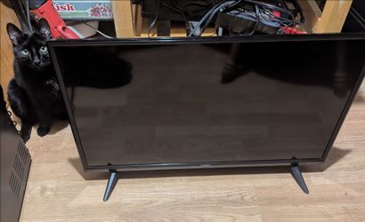 Vizio TV 28"