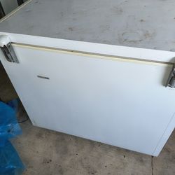Floor Deep Freezer 