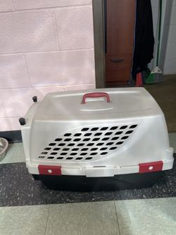 Dog Or Cat Carrier 