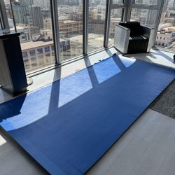 Dollamur Jiu Jitsu Wrestling Mat 