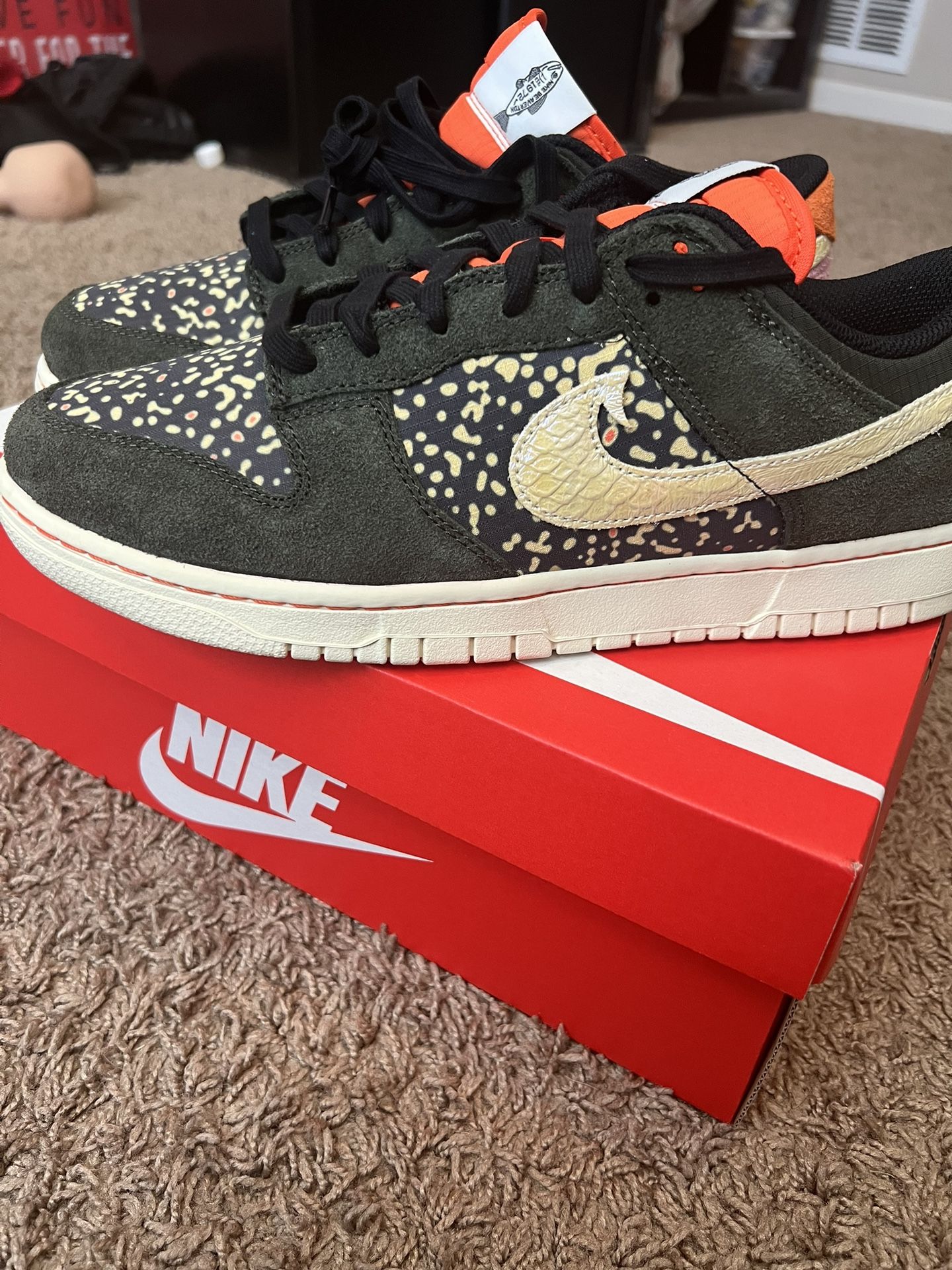Nike Dunk Rainbow Trout