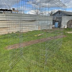 Chicken Cage